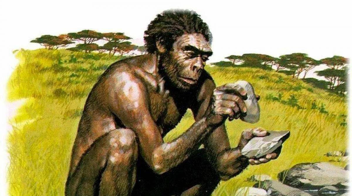 Между питеками и антропами