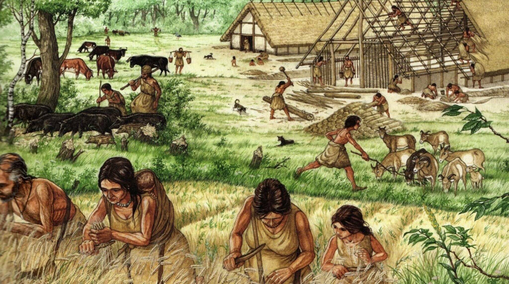 Самая первая из революций - неолитическая