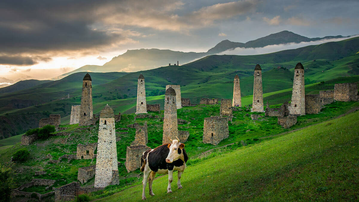 Герои непобедимого Ингушского конного полка «Дикой дивизии». Республика Ингушетия