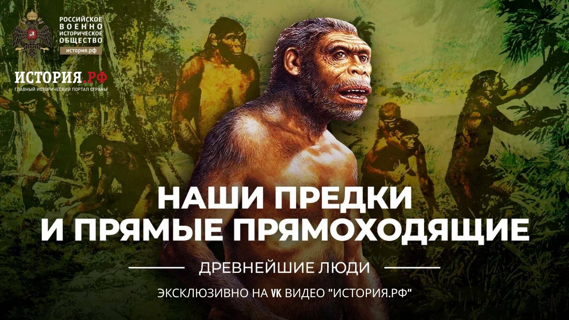 Наши предки прямые и прямоходящие