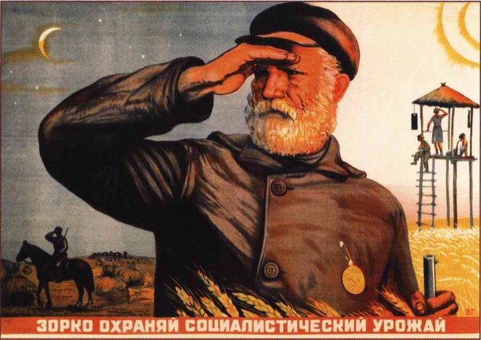Краткий курс истории. «Закон о трёх колосках»